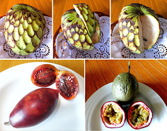 Madeira Fruits and Vegetables... ©UdoSm