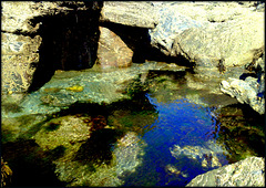 Rock pool, Porthcadjack. For Pam.