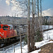 Lumber train in Quesnel, BC