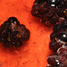 IMG 6222Blackberries