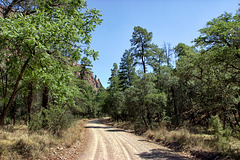 South Fork of Cave Creek, Chiricahua Mountains
