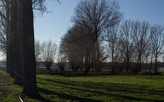 Belgium Hospital Farm Cemetery (#0327)