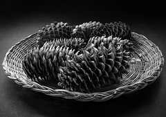 #45 A pinecone or acorn