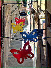 Grandi farfalle colorate sotto il lampione nei vicoli di Genova