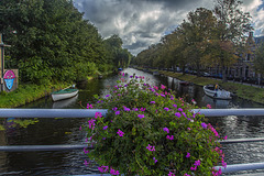 Leiden, main canal, flowers and fence