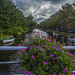 Leiden, main canal, flowers and fence