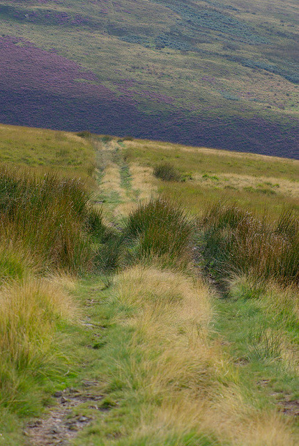 The track up to James's Thorn