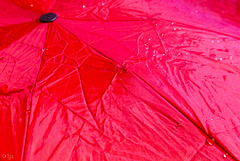 #21 Wet umbrella