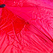 #21 Wet umbrella