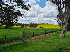 South Australian farming land north of Adelaide