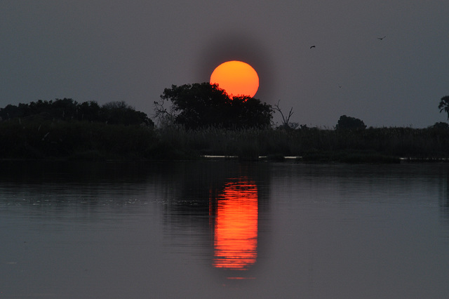 Sunsubiro. Lasta vespero en Okavango-Delto