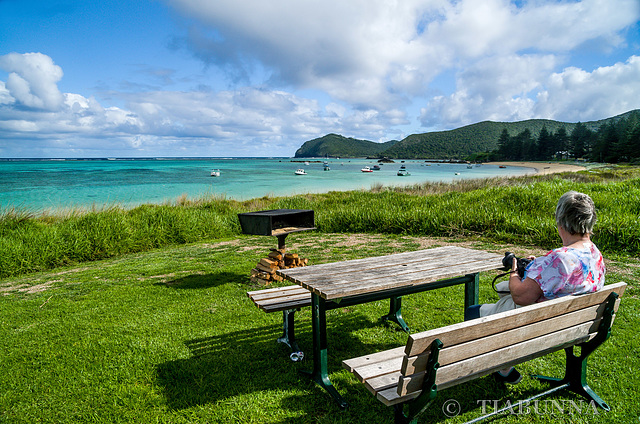 Lord Howe bench