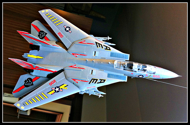 F-114 Tomcat, 3
