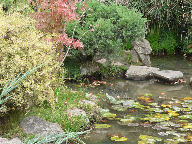 Fuente del Parque Japonés de Santiago