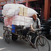 Jaipur- Wide Load