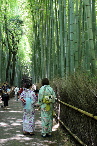 Arashiyama Bamboo Grove