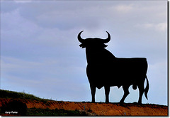 El toro de Osborne - Madridejos - Toledo