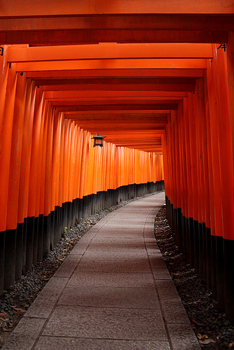 Path at Fushimi Inari-Taisha