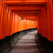 Path at Fushimi Inari-Taisha