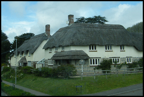 Allington thatch