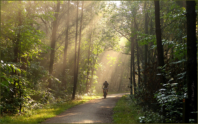 Cycling in Dreamy Light...