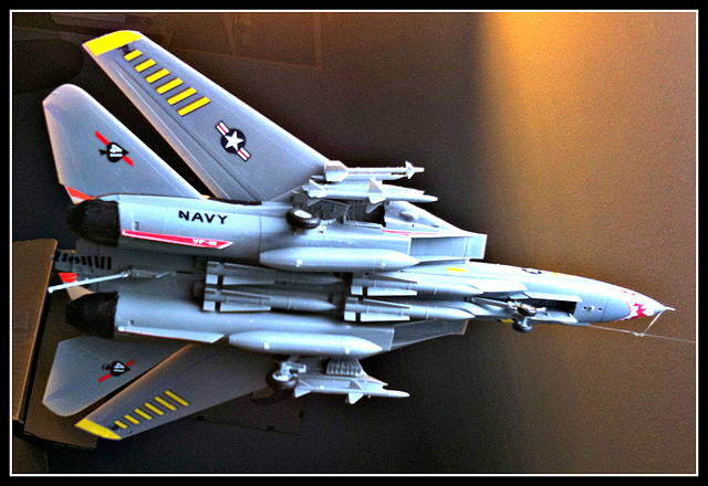 F-114 Tomcat, 4