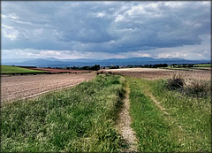 Country path, Fuente el Saz de Jarama.