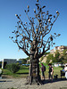 Tree of Life, Europe Square, Tbilisi