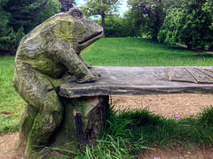 Frog/Toad Bench - HBM