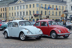 Beetles around Helsinki (4) - 5 August 2016