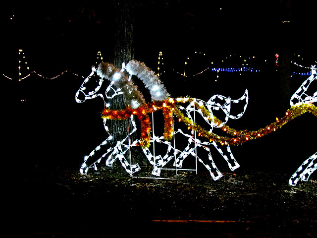 Christmas Lights - Horses