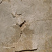 Detail of a Graffito of a Mounted Lancer from Dura-Europos in the Metropolitan Museum of Art, June 2019