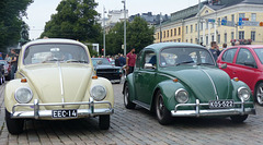 Beetles around Helsinki (8) - 5 August 2016