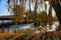 Rastow, Winter am Teich