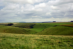 The Mere Downs ~ Wiltshire