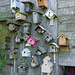 A few of the bird houses at Ellis Bird Farm