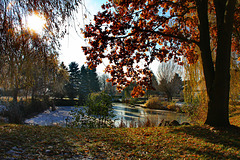 Rastow, Winter am Teich