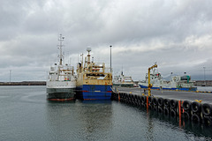im Hafen von Ólafsvík (© Buelipix)