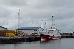 im Hafen von Ólafsvík (© Buelipix)