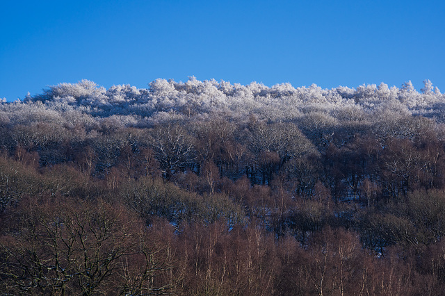 Shire Hill snow capped