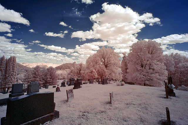 For some reason, it seems better in infrared