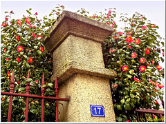 Decorated pillar from Number 17