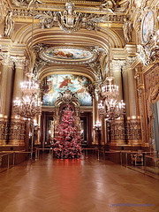 Palais Garnier - Opéra National de Paris (14)
