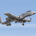 47th Fighter Squadron Fairchild A-10C Thunderbolt 80-0146