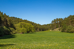 Blankenheim - Lampertstal im Frühjahr