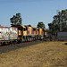 LockyerSiding 0917 P9201147