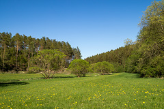 Blankenheim - Lampertstal im Frühjahr