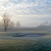 Morgennebel am Golfplatz Kurpfalz