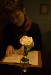 Dinner With A Rose