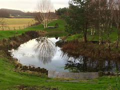 Pond filling up nicely, but where is my skating rink?